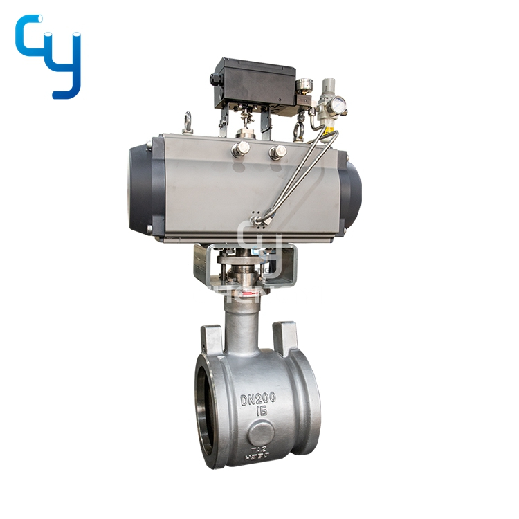 Eccentric Rotary Control Valve  (Camflex Control Valve)